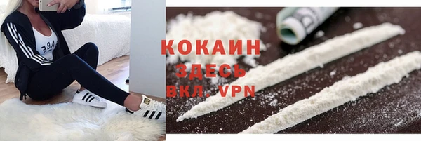 спайс Богородск