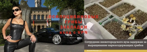 спайс Богородск