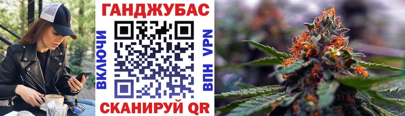 где продают   Череповец  Бошки Шишки план 